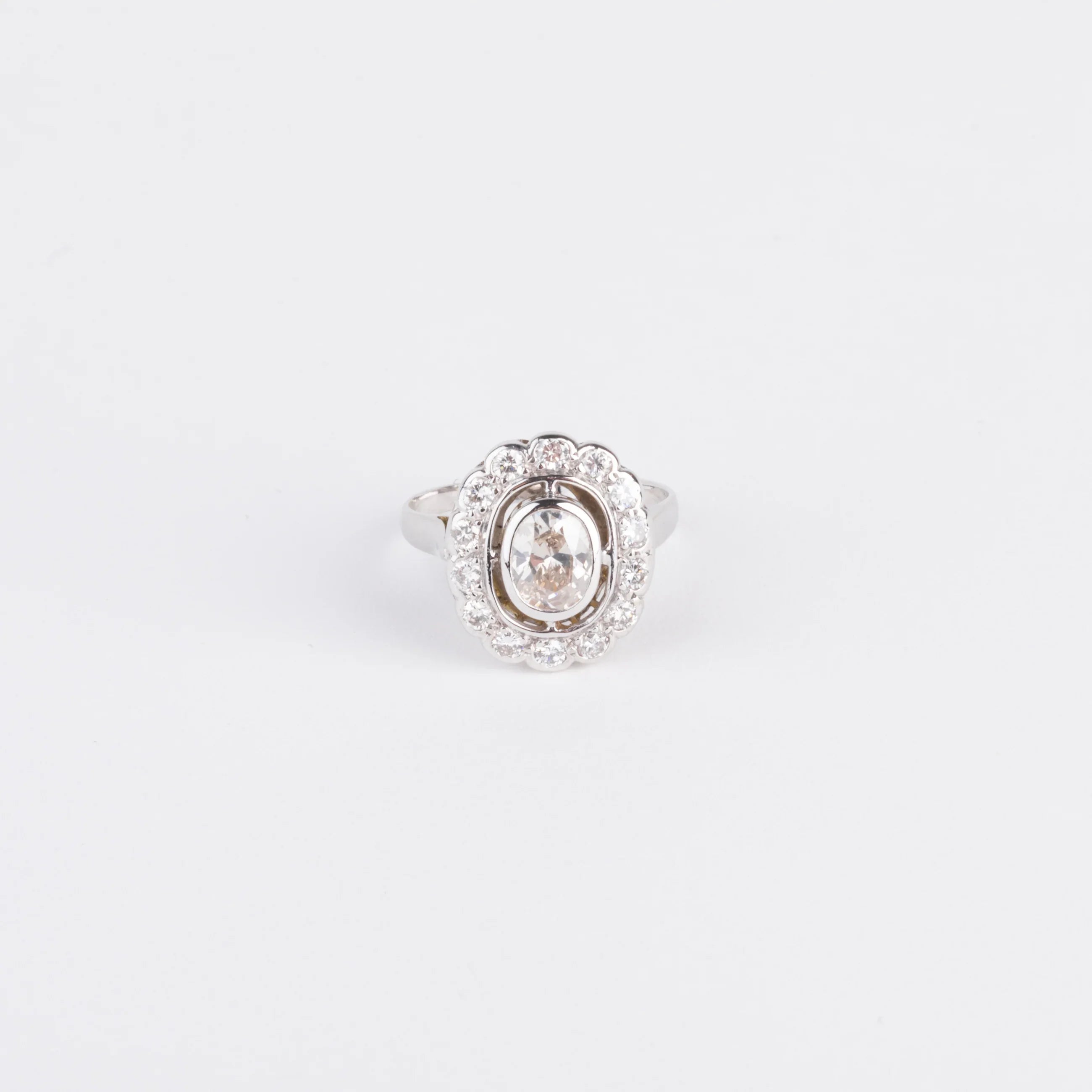 Daisy ring in white gold and diamond
