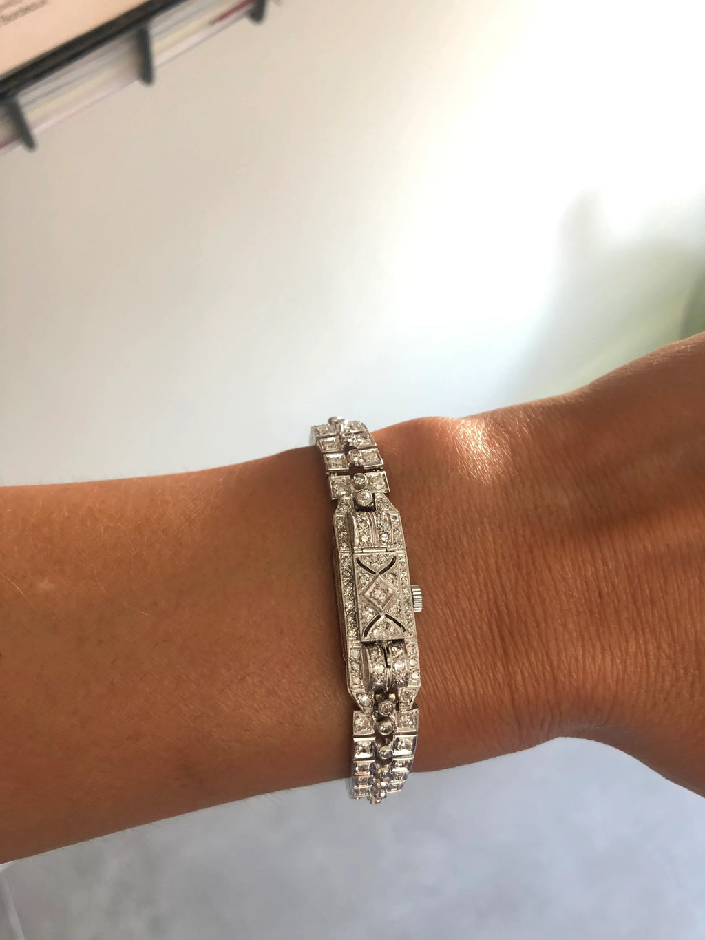 Platinum and white gold secret watch