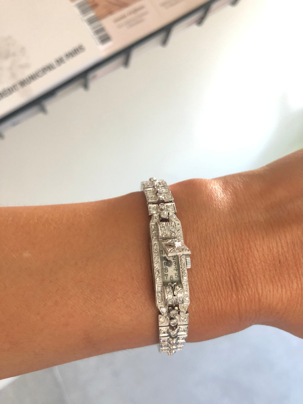 Platinum and white gold secret watch